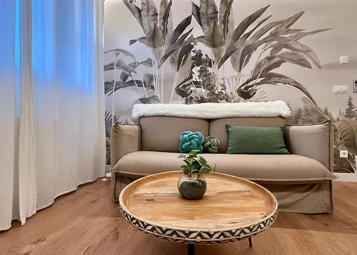 Apartment North Shore 4